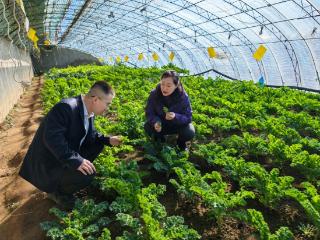 金融活水浇灌河北春耕沃野