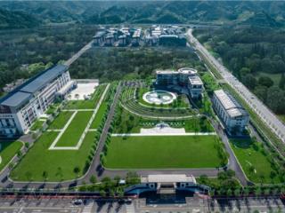 “大行业、小企业”终迎破局者，八马上市开启茶业标准化新时代