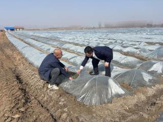 金融特派员“贷”来及时雨：兴业银行青岛分行助“新农人”春耕扩产