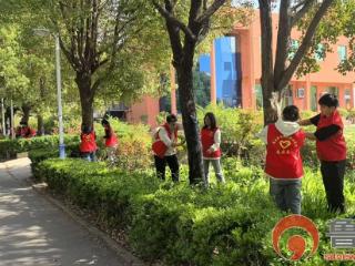 垎塔埠街道十电社区：春日解护助生长 青春志愿护绿植