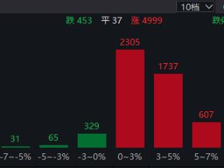 4999只个股上涨！金陵药业，24秒拿下涨停