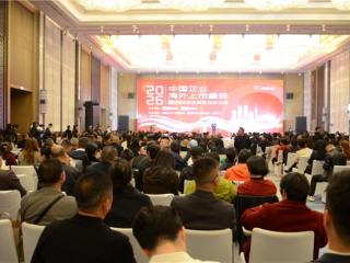 江苏新希望亮相成都海外上市峰会 以“清水豆芽”全产业链重塑千亿赛道