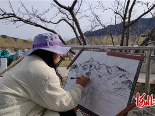 秦皇岛青龙：跨区域艺术交流为梨花节注入文化活力