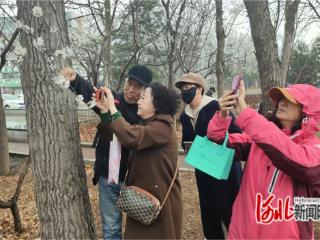 秦皇岛市山海关区老年大学手机摄影课定格春天