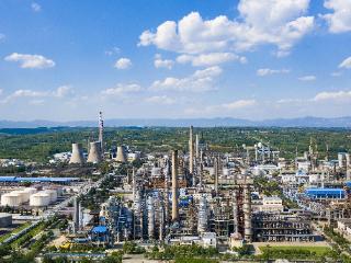 产业集群“金名片”⑦丨绿色石化拿下全国百强！洛阳这个区藏不住了