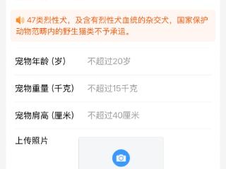 高铁宠物托运服务升级“爱宠行”，“携宠出行”价格能打折