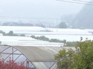 贵州大黔山生态农业发展有限公司奏响春日产业“双响曲”