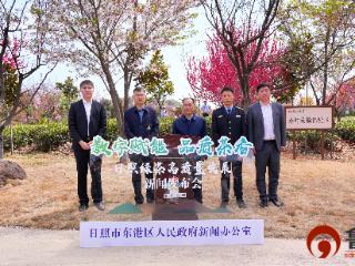 数字赋能品质茶香 东港聚力推动日照绿茶高质量发展