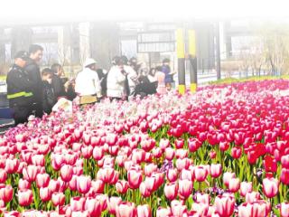 谁能拒绝杭州的春天