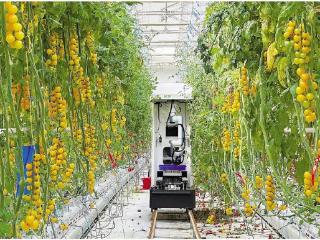 从工厂到农场 一位滨产“新农人”的跨界之旅