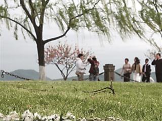 春日“飞雪” 小心过敏