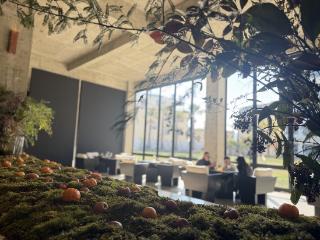 老院子“活起来”了，闲置空间长出乡愁