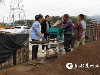 绥阳：机器一响，好秧登场！水稻育苗机助力节本增效
