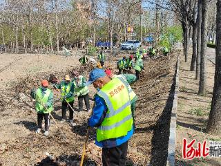 邢台开展中心城区农田地块环境整治行动