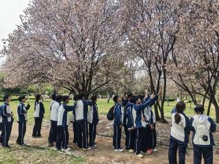 济南市莱芜十七中：春风十里，不如与你共赴一场植物之约
