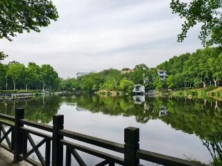 不忘来时路：从中国李庄到溢清同济湖