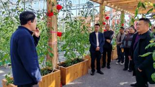 取经问道 谋实创新 | 符阳街道农文旅商融合“问计之行”