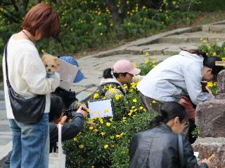 淞泽社区：立体课程赋能成长，春日活动收获满满