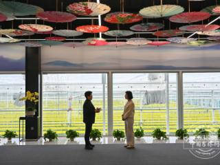 独家探秘｜日产1吨、四季不断供！吉林首家数智现代“串番茄超级工厂”藏在这里