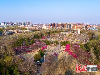 组图｜唐山植物园：春日赏景正当时