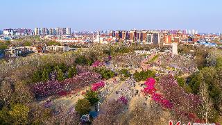 组图｜唐山植物园：春日赏景正当时