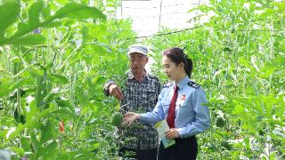 宁阳税务：合规赋能强根基 护农提质向新行