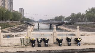 河北晋州三男子勇救落水女子，均不幸遇难，当地已启动见义勇为申报工作