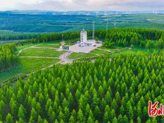 树立和践行正确政绩观｜“种下去的是树，立起来的是信念”