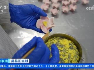 牡丹盛开 “花”式文创糕点成赏花之旅特色伴手礼