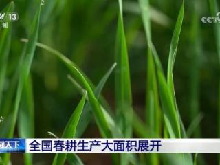 全国春耕春管进展顺利 早稻育秧基本结束