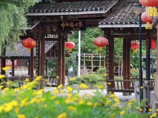 【看中国消费名品中的“黔”字号】在布依村落的非遗酒坊里 寻到了“黔中刺梨”这段百年历史