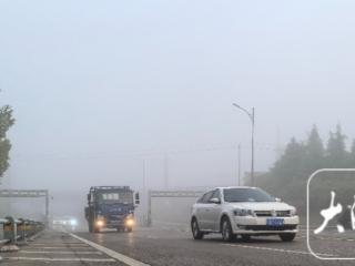 淮南晨雾迷漫，驾车如在画中穿行