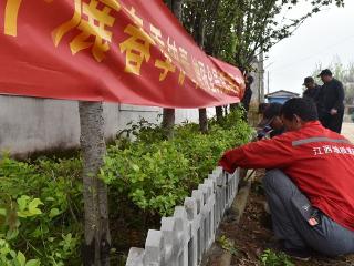 郯城县杨集镇：建设“五小园”扮靓新乡村