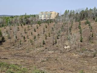 东北三省唯一！这里是吉林省林木种苗战略储备和种质资源保护的“心脏”