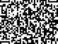 周末来了丨笔墨伴乐声，精彩活动随心选