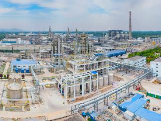 产业集群“金名片”⑧丨“煤城”变“新城”，平顶山“织”出产业新版图