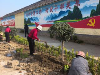 莒南县道口镇：植绿添彩美家园 绘就宜居新画卷