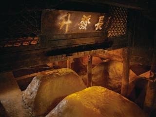 断层领先！700余年不间断酿造，五粮液古窖池群才是真・国宝活文物