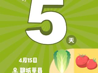 4月15日相约聊城莘县！第二届山东绿色蔬菜产业博览会倒计时5天