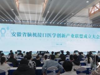 小叶医探 | 安徽首个脑机接口医学创新产业联盟成立