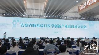 小叶医探安徽首个脑机接口医学创新产业联盟成立