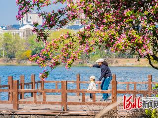 组图｜唐山市路北区：青龙湖畔春意浓