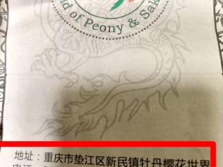 重庆垫江县一景区出现“垫江区”表述引热议 当地：搞错了，尚未撤县设区