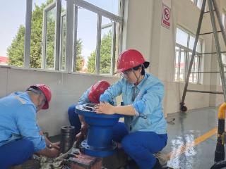 王辉与她的“微光”事迹——记河南中油压缩天然气有限公司薛店母站站长王辉