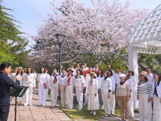花海踏歌 ·声动春日——百花苑合唱快闪唱响春日市南