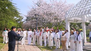 花海踏歌 ·声动春日——百花苑合唱快闪唱响春日市南