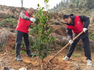 浙江临安：做好“绿”文章 绘就“新”画卷