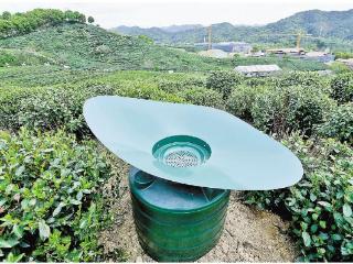 茶园集水器 储水备抗旱