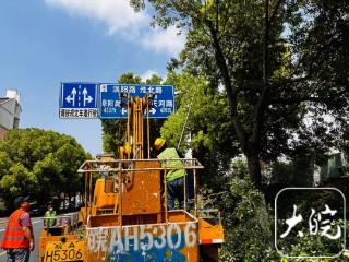 合肥老城区剪除“绿化遮挡物” 消除“视觉盲区”