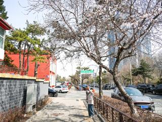 罗浩拍吉林丨长春，花在开